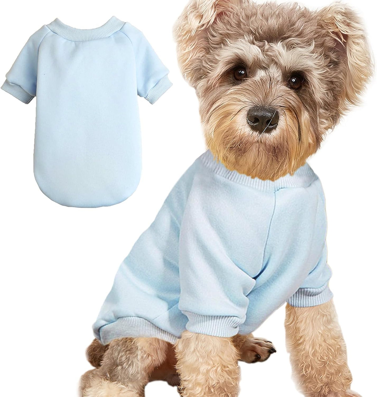 Soft Puppy Sweater for Small Dogs Winter Knit Pullover, Green M