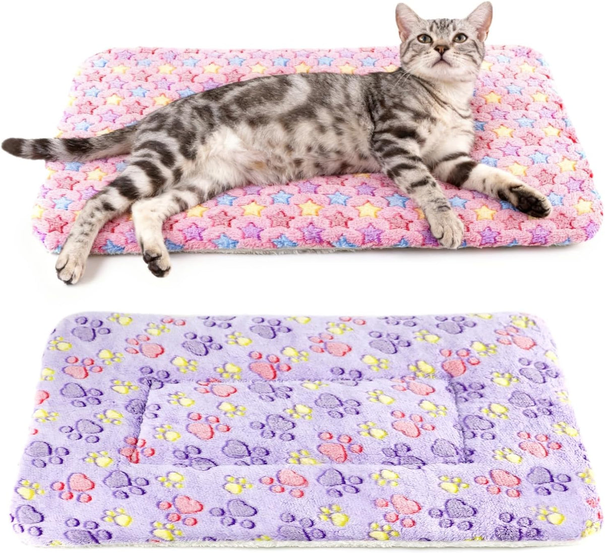 2 Pack Cat Blankets for Indoor Cats, Ultra Soft Reversible Mat, Fluffy Flannel Blanket for Small Dogs and Cats, Washable