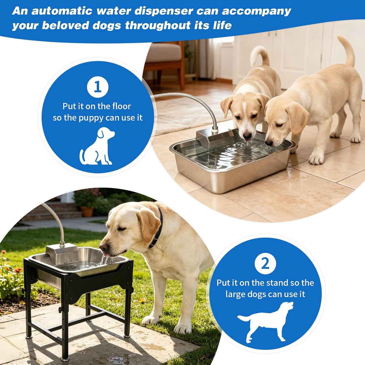 3Gal Automatic Dog Water Bowl Dispenser, Elevated Large Dog Water Bowl
