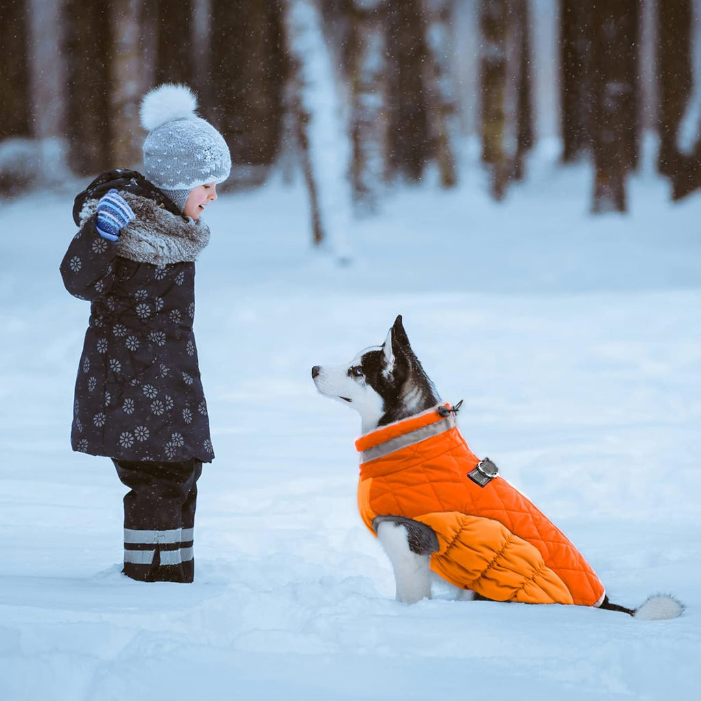 Dog Coat Warm Dog Winter Coat Waterproof Dogs Jacket with Harness