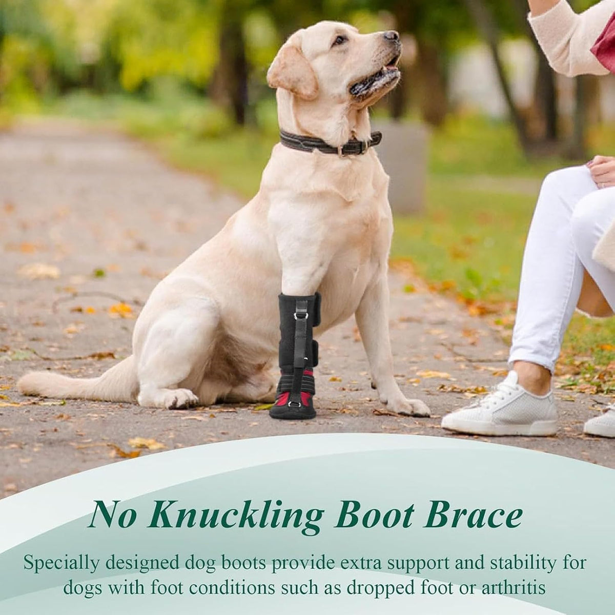 Strap on Drop Foot Brace for Dogs, Corrective Dog Shoes (L)