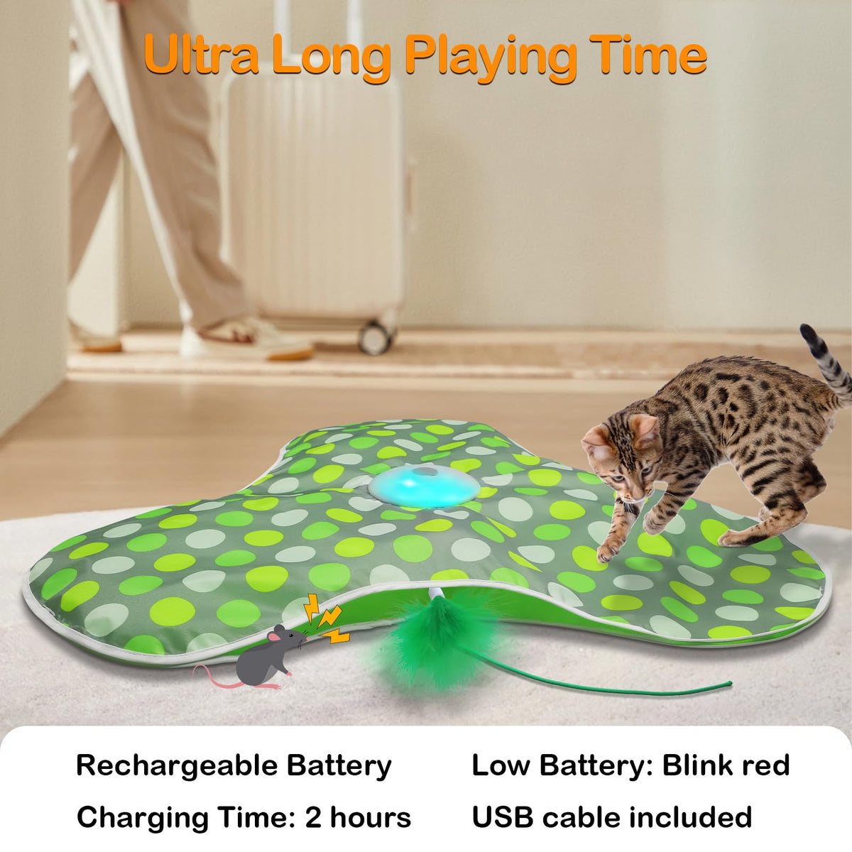 Interactive Cat Toys for Indoor Cats,Hide-n-Seek Game,Cat Enrichment Toy