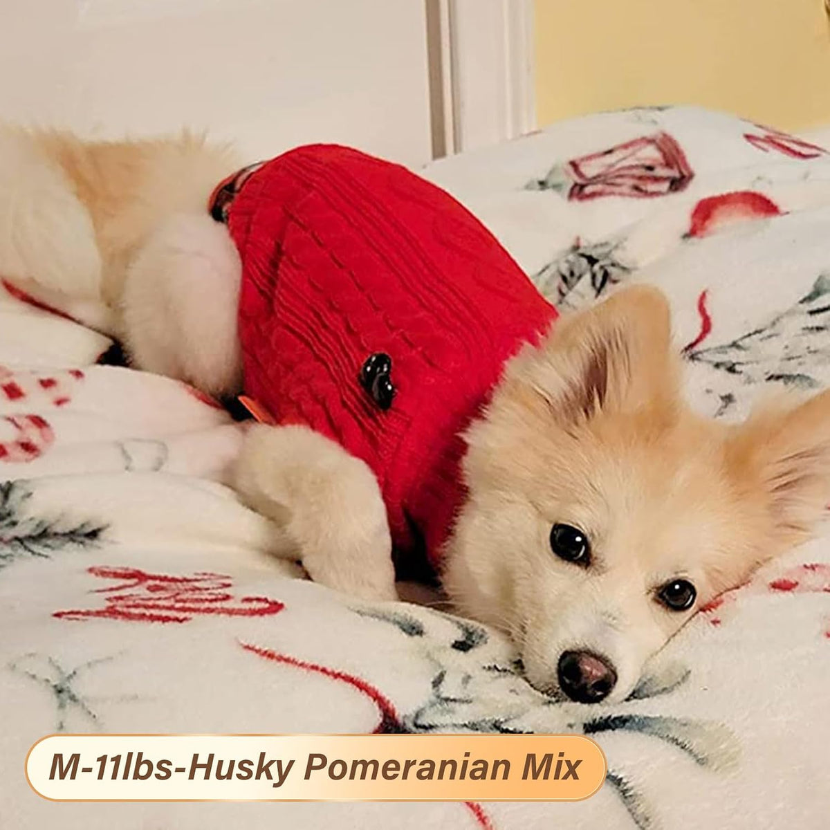 KYEESE Dog Sweater for Small Dogs Turtleneck Thick Knit Pullover
