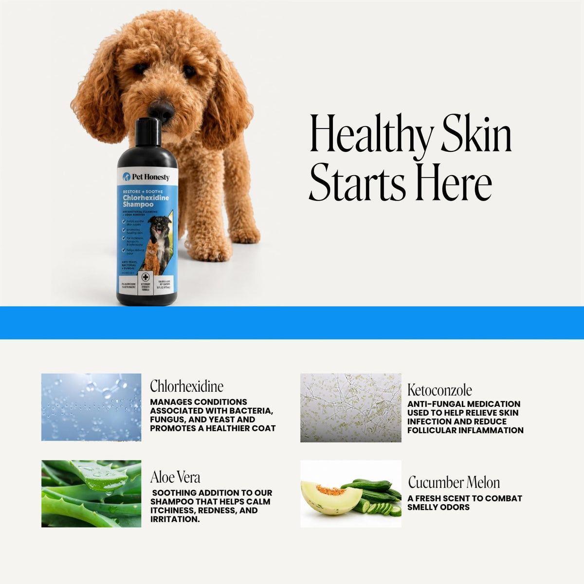 Pet Honesty Chlorhexidine Dog Shampoo Itchy Skin Relief, Anti-Itch, 16oz
