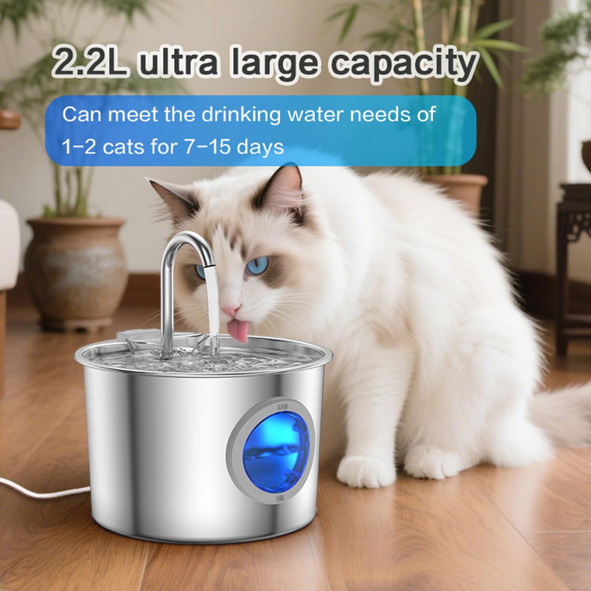 Cat Water Fountain Stainless Steel, Hygienic Drinking Fountain for Cats