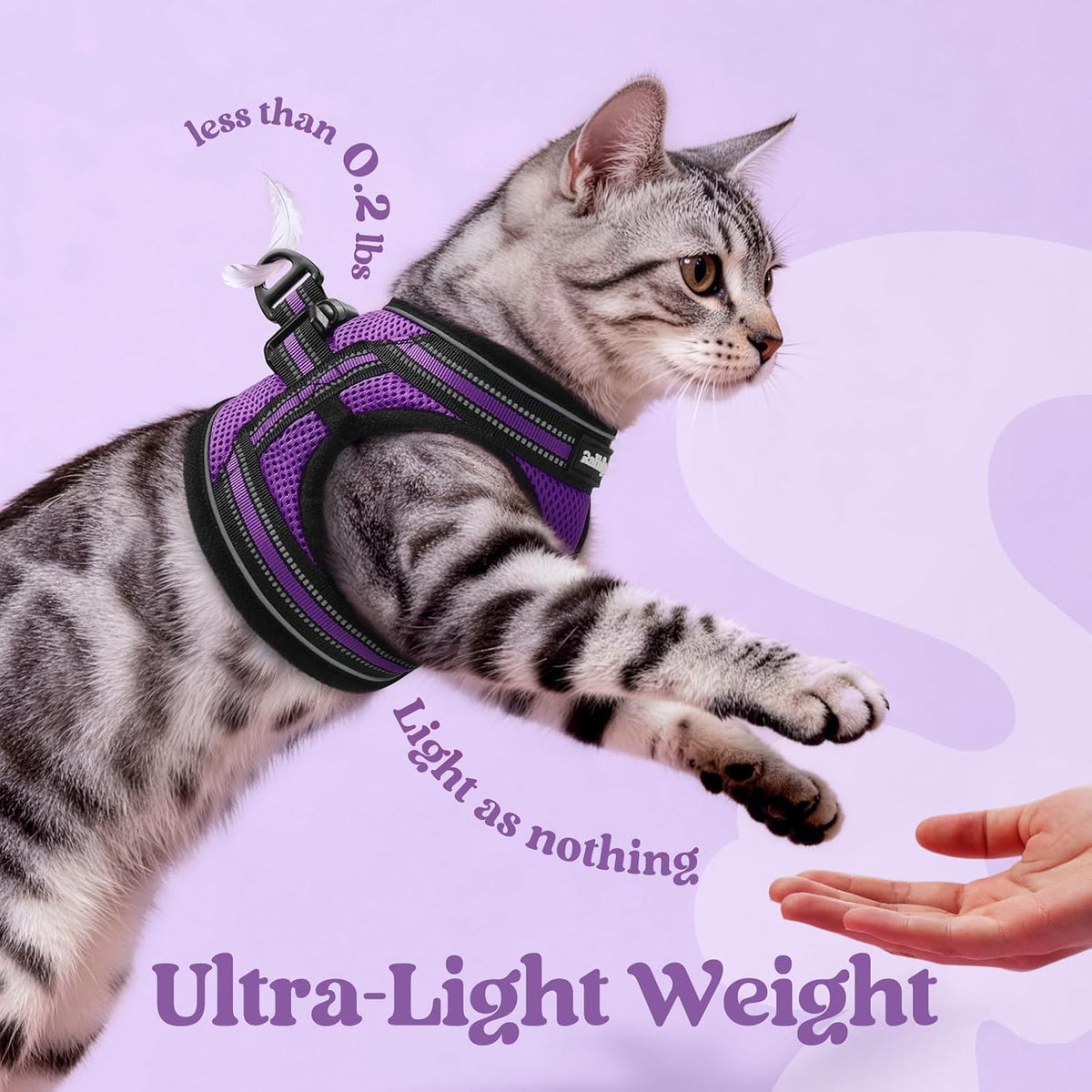 rabbitgoo Cat Harness and Leash Set, Step-in Soft Vest, Purple