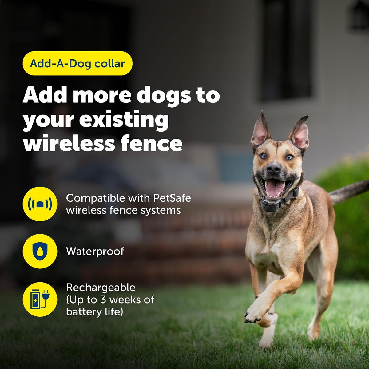 PetSafe Stay & Play Wireless Fence Rechargeable Collar