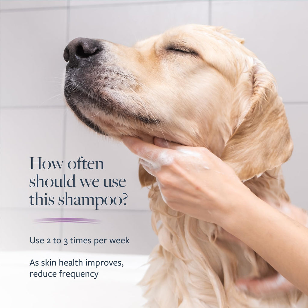 Veterinary Formula Antiparasitic & Antiseborrheic Dog Shampoo - 16 oz