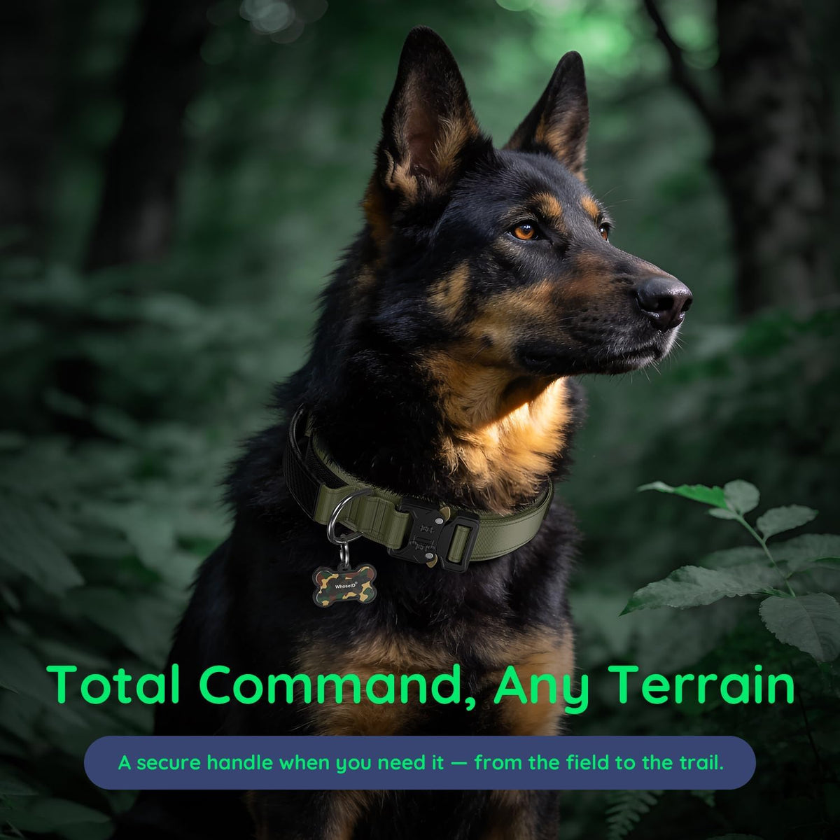 Tactical Dog Collar for Large Dogs with Leather Handle (Army Green, L)