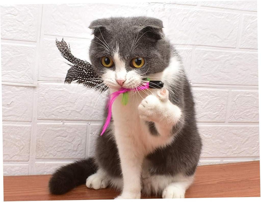 8PCS Cat Toys Feathers Replacements 7.9'' Natural Cat Wand Toy Replacements with Loop Long-Lasting Fishing Pole Toy for 