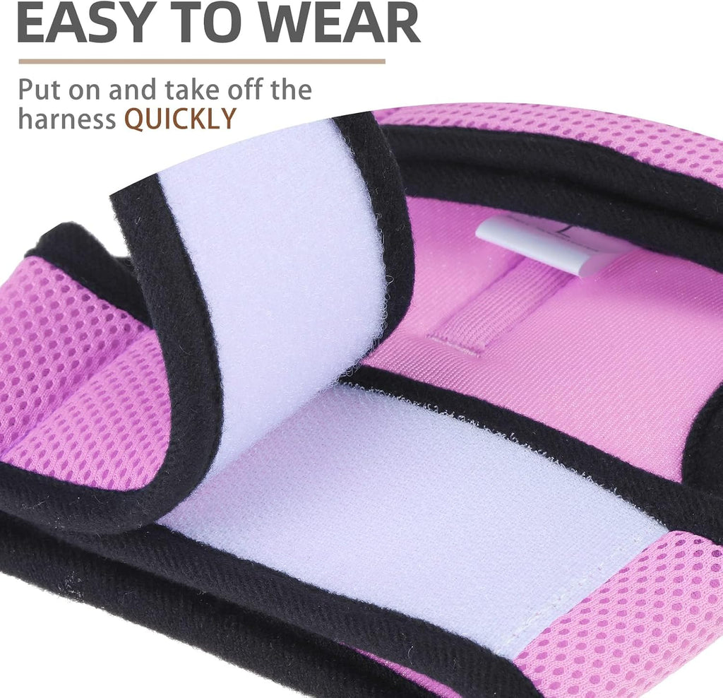 PUPTECK Soft Mesh Cat Vest Harness and Leash Set Puppy Padded Pet Harnesses Escape Proof for Cats Small Dogs Rabbits Bun
