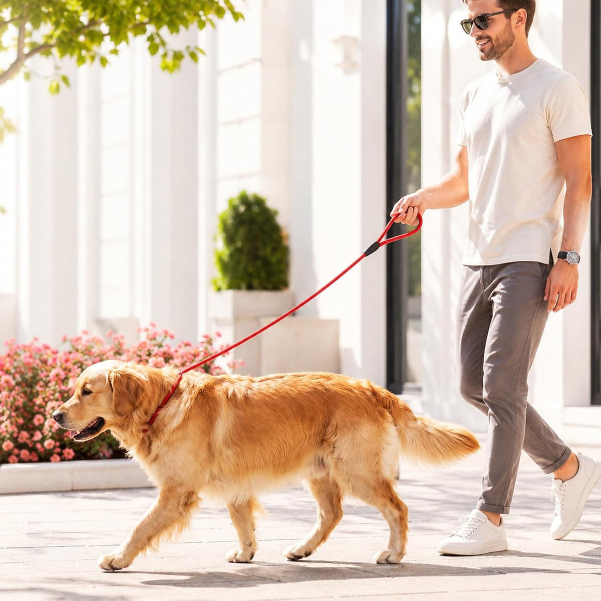 18 Pack Slip Lead Dog Leash for Large Dogs No Pull Training 6 Colors