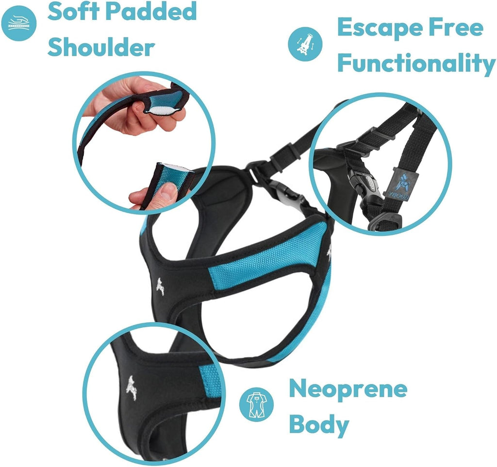 Gooby Escape Free Easy Fit Dog Harness, Step-in, Turquoise, Small