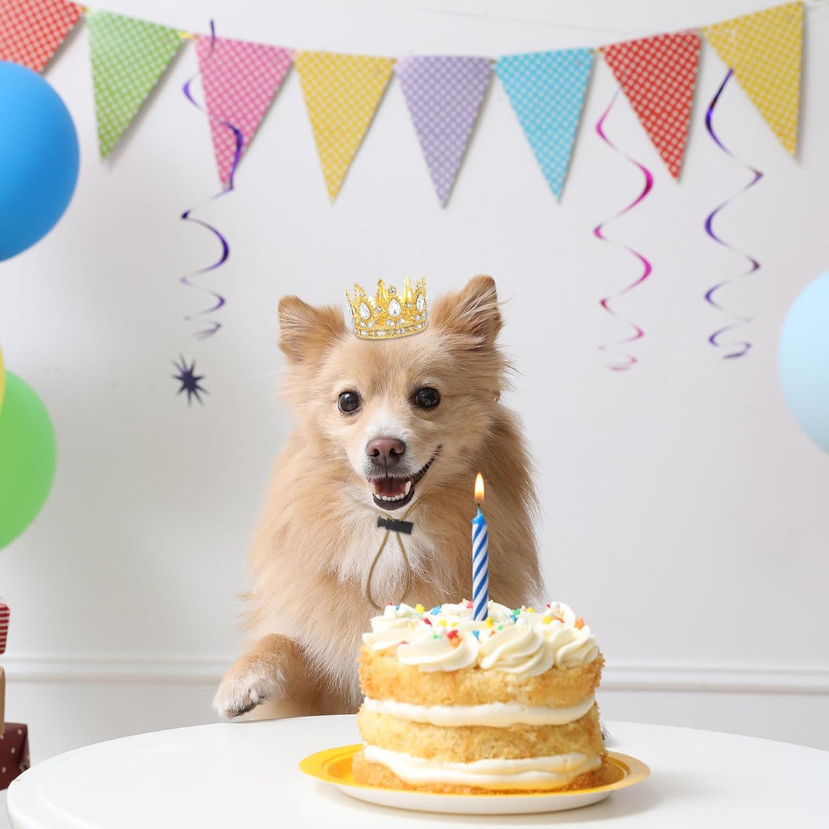Abbylike White Small Dog Birthday Crown Queen for Pet Costume