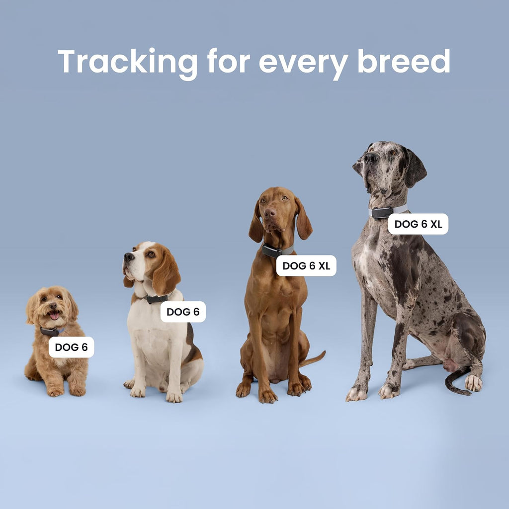 Tractive XL Smart Dog GPS Tracker | Live Pet Tracker with Virtual Fence | Vital Signs Monitoring of Heart & Respiratory 