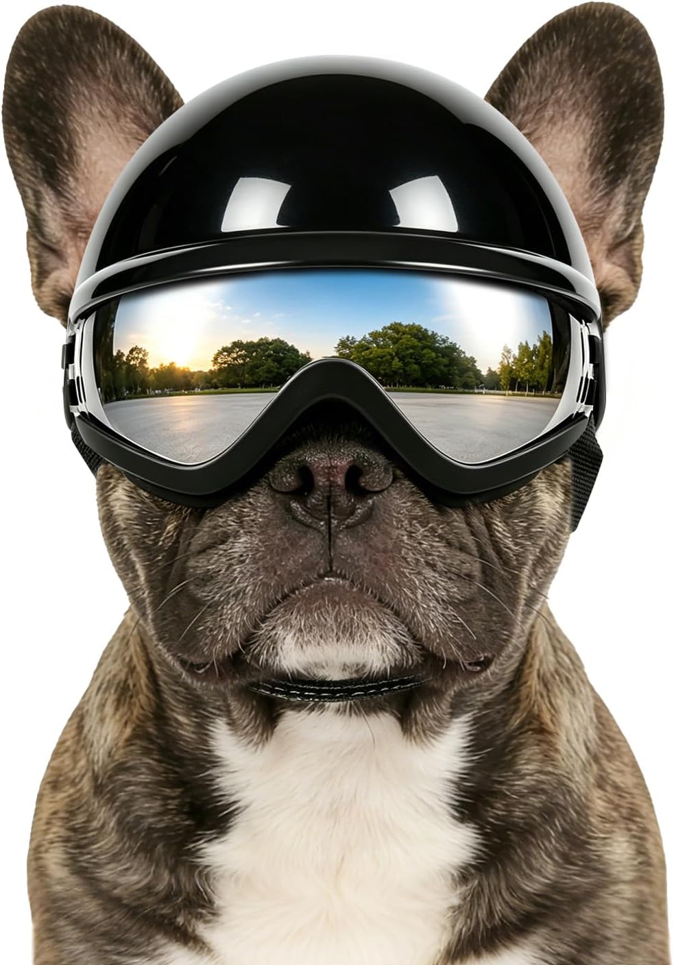 Dog Helmet for Small Dogs Cats, XS Pet Helmets with Goggles Outdoors Cycling Riding, Dog Sunglasses Helmets with Ear Hol
