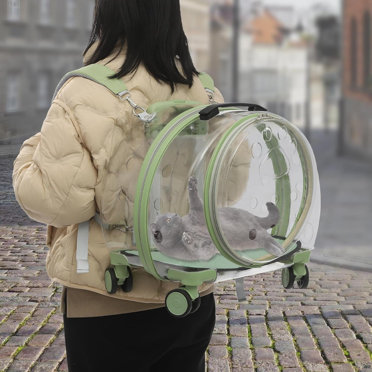Rolling Cat Carrier Transparent Hard Shell Pet Travel Bag with Wheel(Greem)