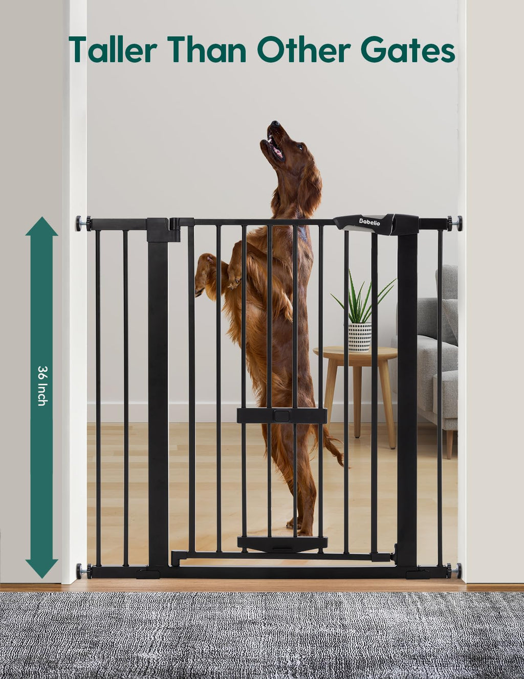 Babelio 36" Tall Pet Gate with Cat Door, CatPrivilege II, 29-40", Black