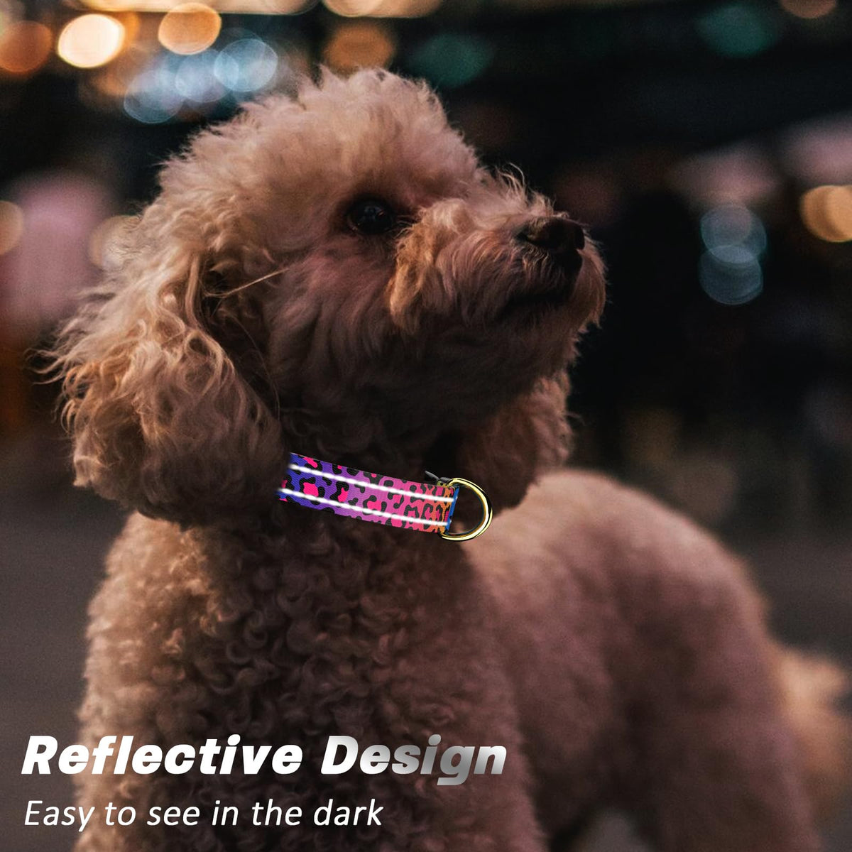 TMOODEL Reflective Nylon Dog Collar for Large Dogs, Neon Leopard, L