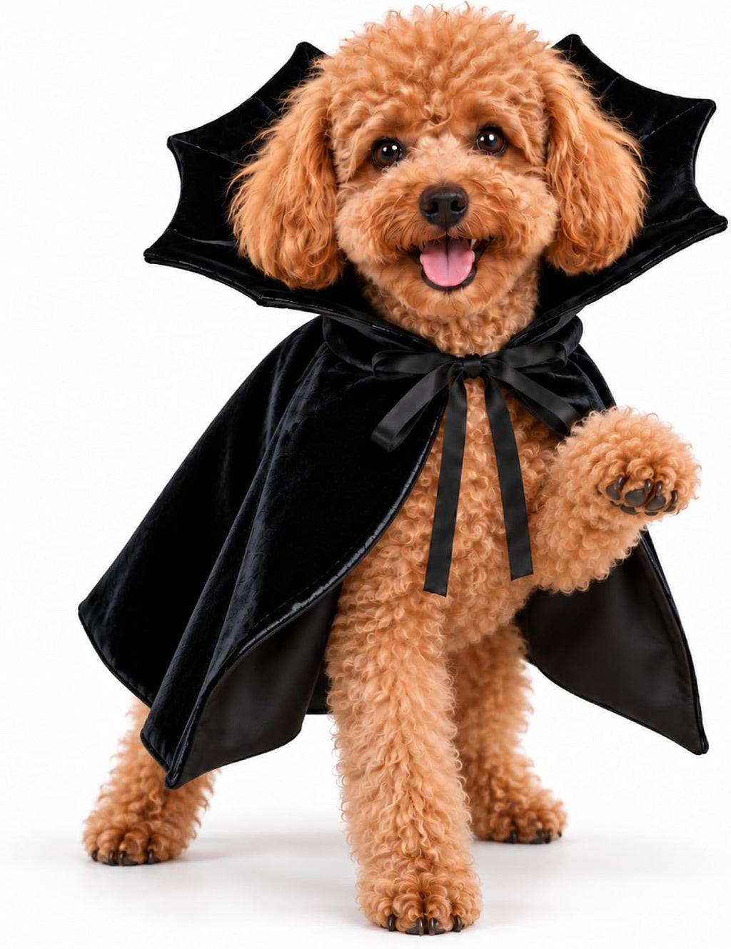 Halloween Dog Cape for Small Dogs, Pet Party Costume for Photos, Funny Pumpkin Skull Cloak, Cute Spooky Puppy Clothes, F