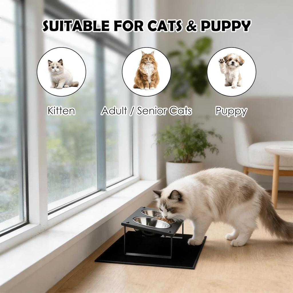 Elevated Cat Bowls with Splash Proof Mat for Kitten Puppy, 10° Tilted Raised Cat Bowl Stand Anti-Vomiting, 2 Wide Shallo