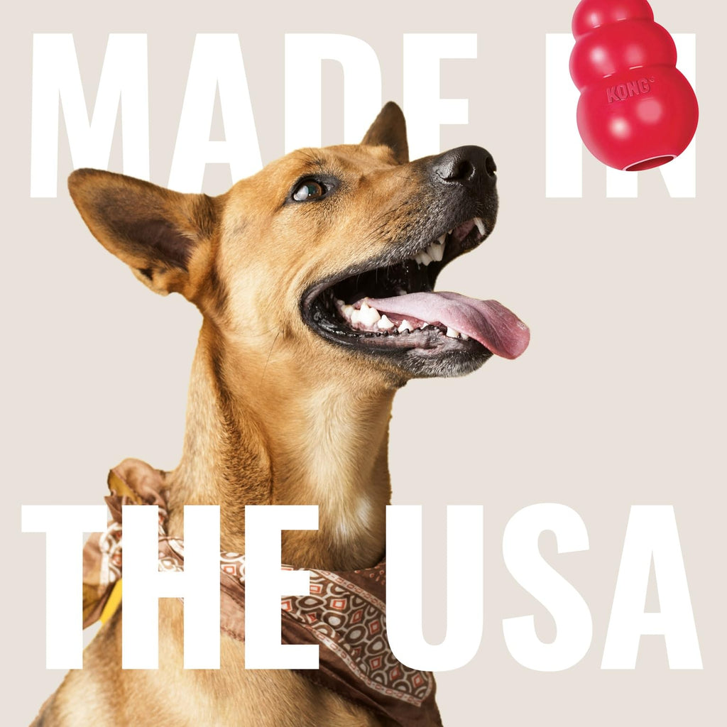 KONG Ring, Natural Rubber Chew Toy for Dental Health, for Small/Medium Dogs