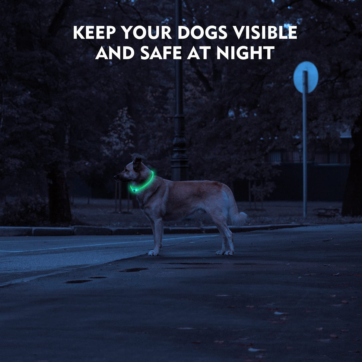 NOVKIN LED Dog Collar, Cut-to-Fit Light Up Dog Collar for Night Walking, IP67 Waterproof USB Rechargeable Glowing Pet Collar, High Visibility Super Bright Safety Lights for S/M/L Dogs(Blue)