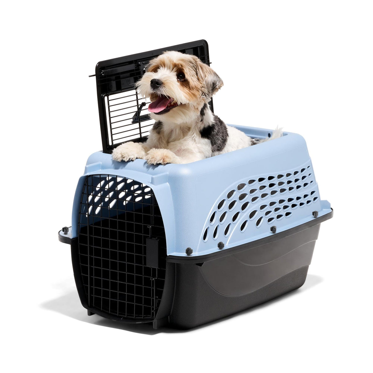 Petmate Two Door Plastic Pet Kennel for Small Dogs and Cats, 24in, Blue