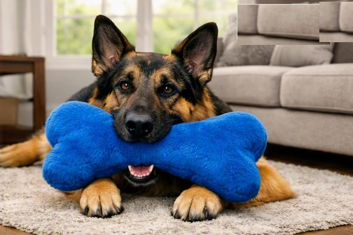 PUREPET Dog Toy Giant Plush Bone 2 Squeakers Mega Huge Sized Soft and Large Play Cuddle (Red)