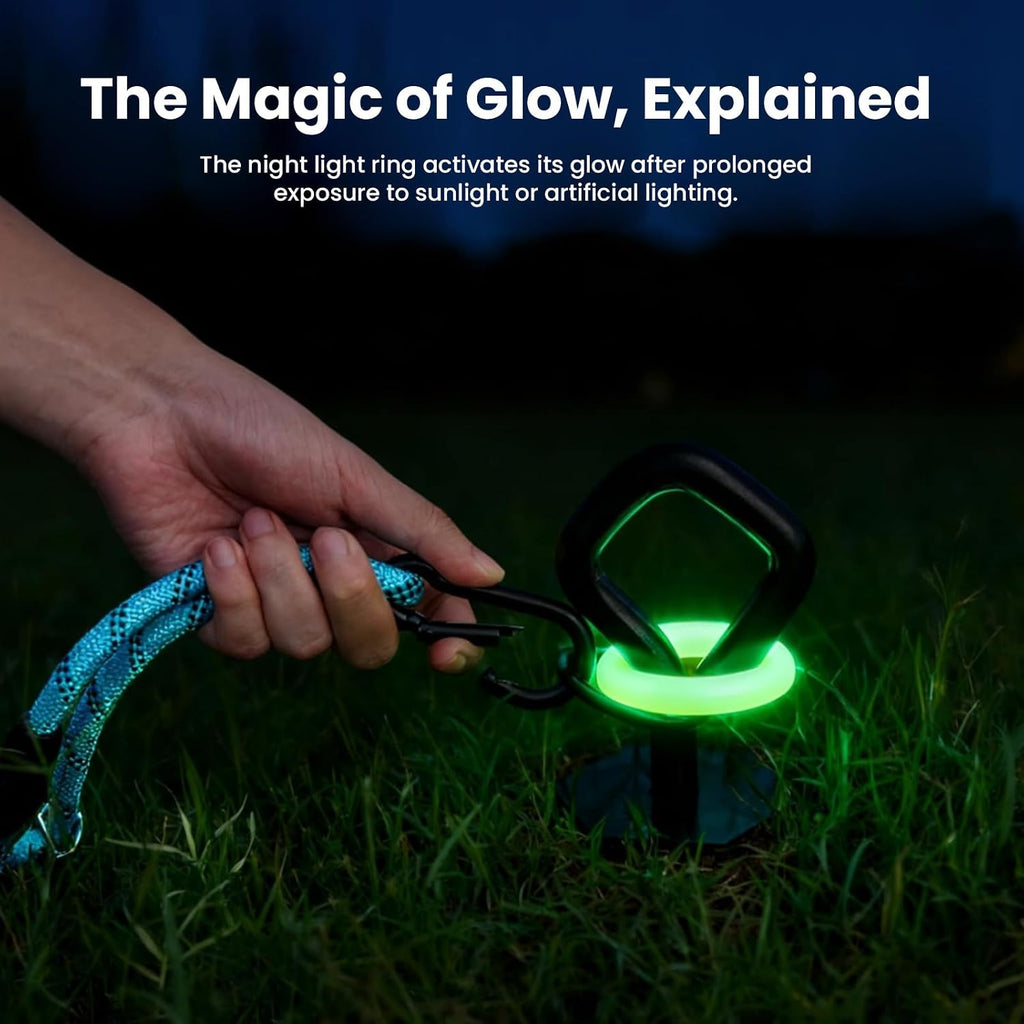 Glow-in-the-Dark Heavy Duty Dog Tie Out Stake, Dogs Up to 210 lb
