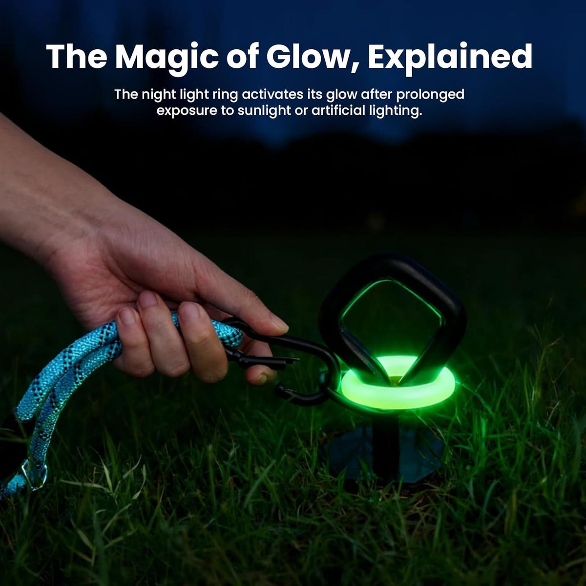Glow-in-the-Dark Heavy Duty Dog Tie Out Stake, Dogs Up to 210 lb