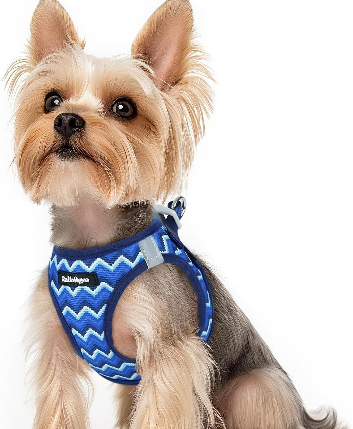 rabbitgoo Step-in Small Dog Harness, Puppy Vest for Small Sized Pet