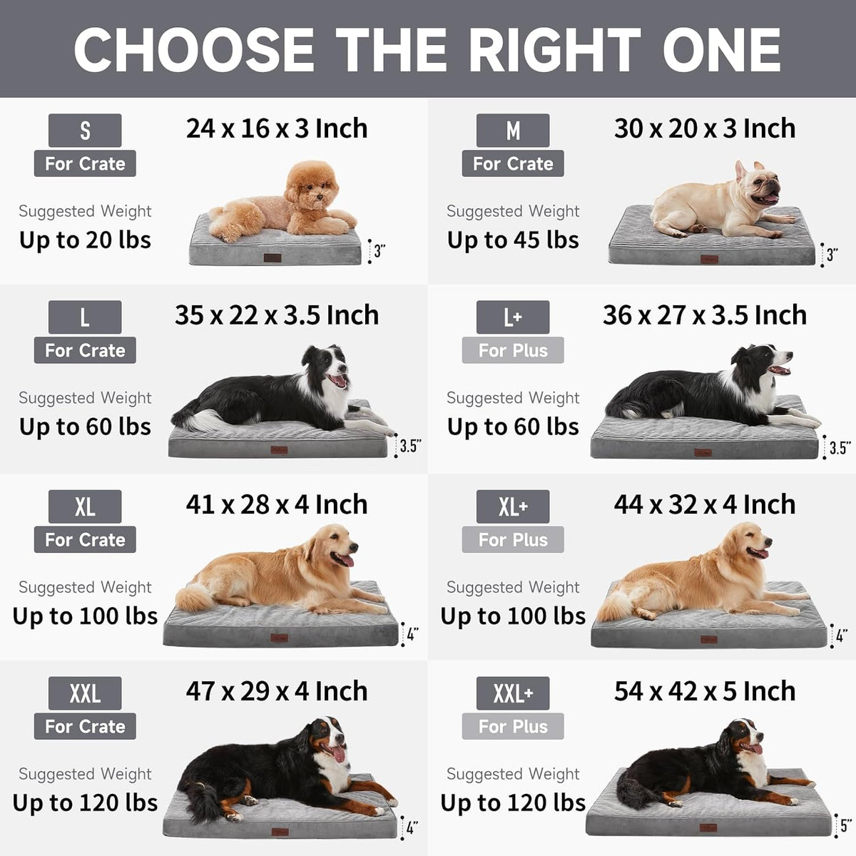OhGeni Orthopedic Waterproof & Machine Washable Dog Bed for Medium Large Pets, Suitable for Crates, 25D Egg Crate Foam, 