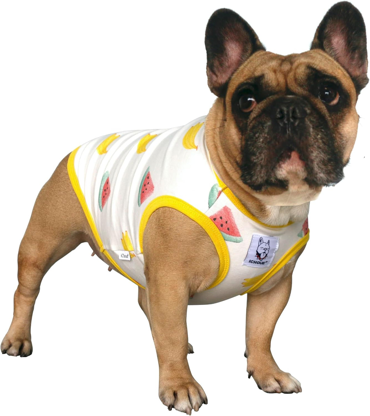 French Bulldog Halloween Costume Shirts Bat Wings Ghost Spiderweb, M
