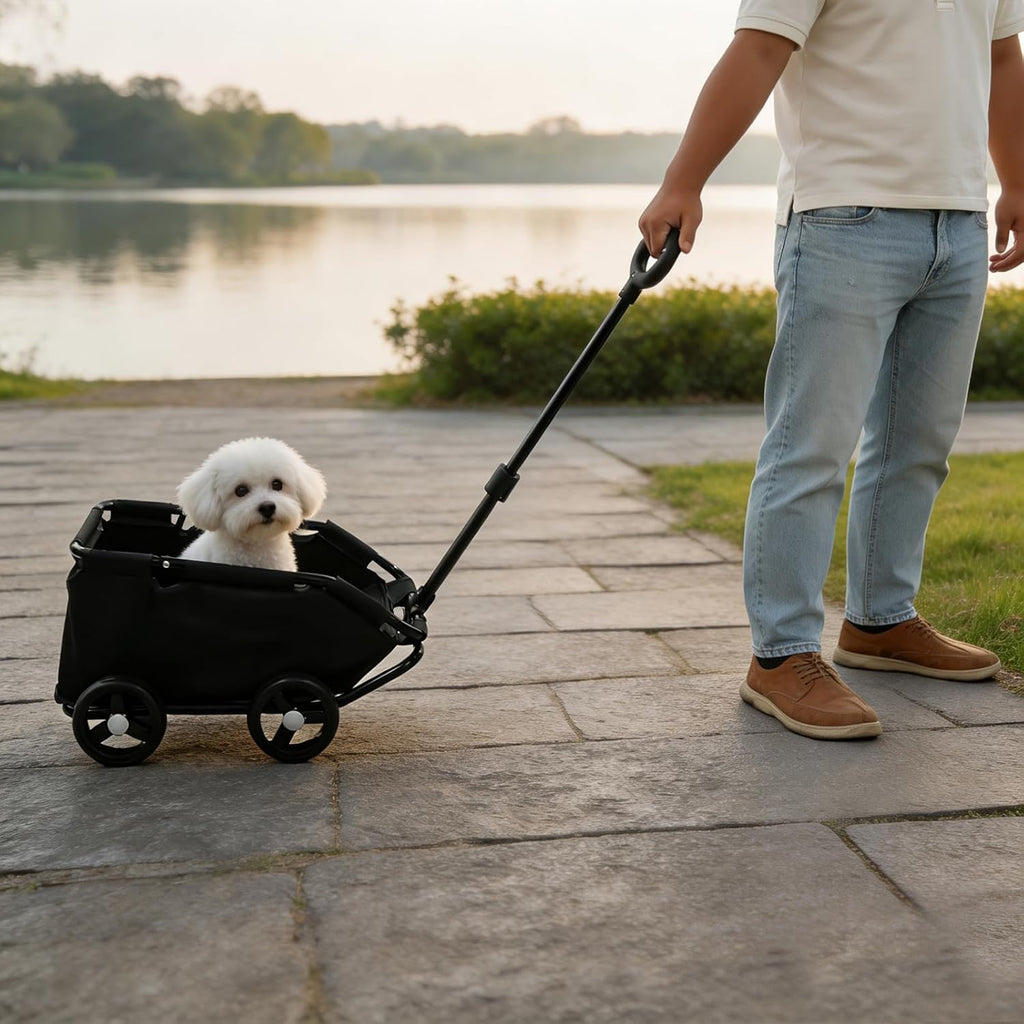 Mini Pet Stroller with Adjustable Handle Maximum Capacity 16.5 lbs