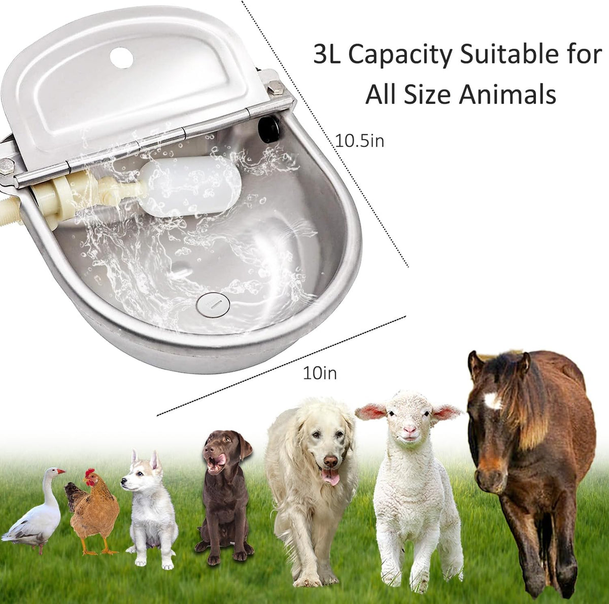 Automatic Water Dispenser Dog Water Bowl 304 Stainless Large Pet Waterer