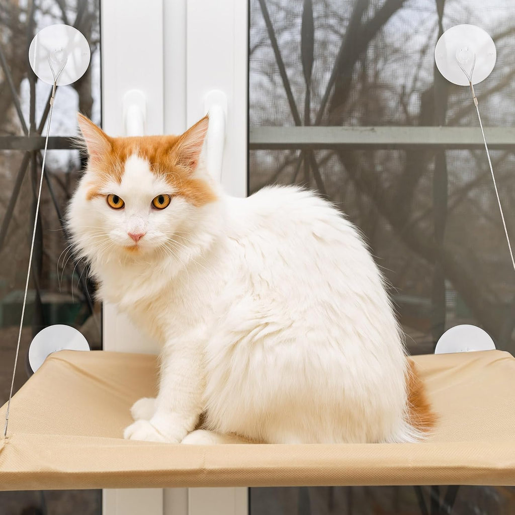 4 Pieces Cat Window Perch Suction Cup Powerful Window Bed Seat Replacement Suction Cup Clear PVC Sucker Pads for Cat Ham