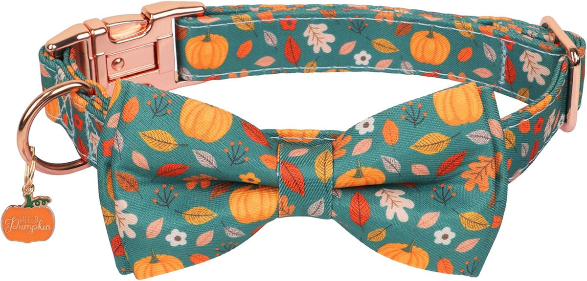 Fall Thanksgiving Dog Collar, Pumpkin Dog Bow Tie Collar, Small