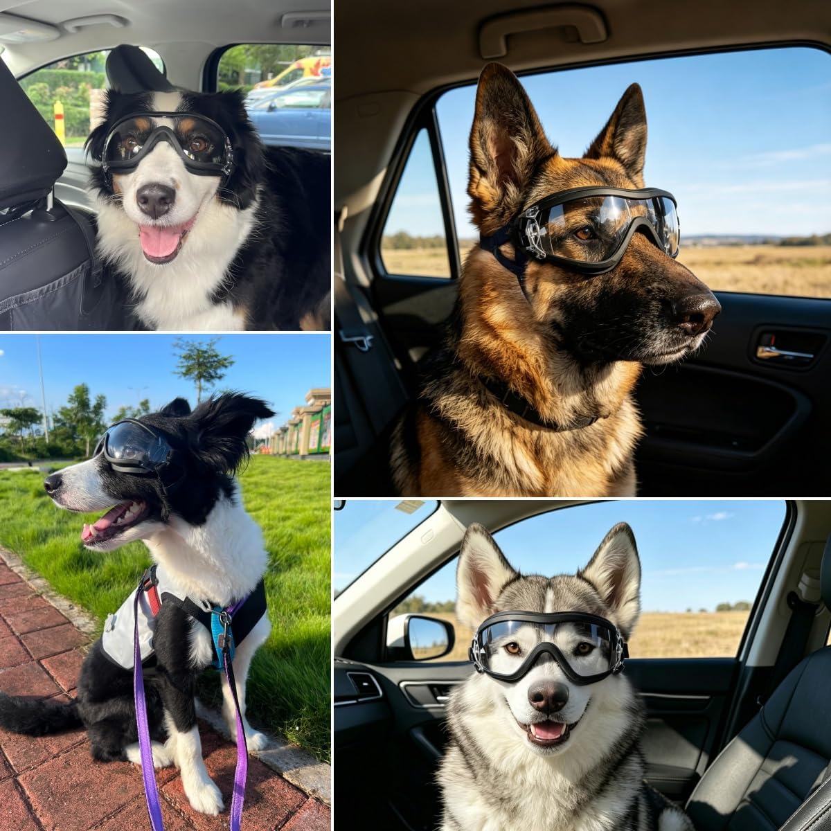 Enjoying Clear Dog Goggles Medium to Large Breed, Dog Sunglasses UV Protection, Large Dogs Driving Eye Protection, Outdo