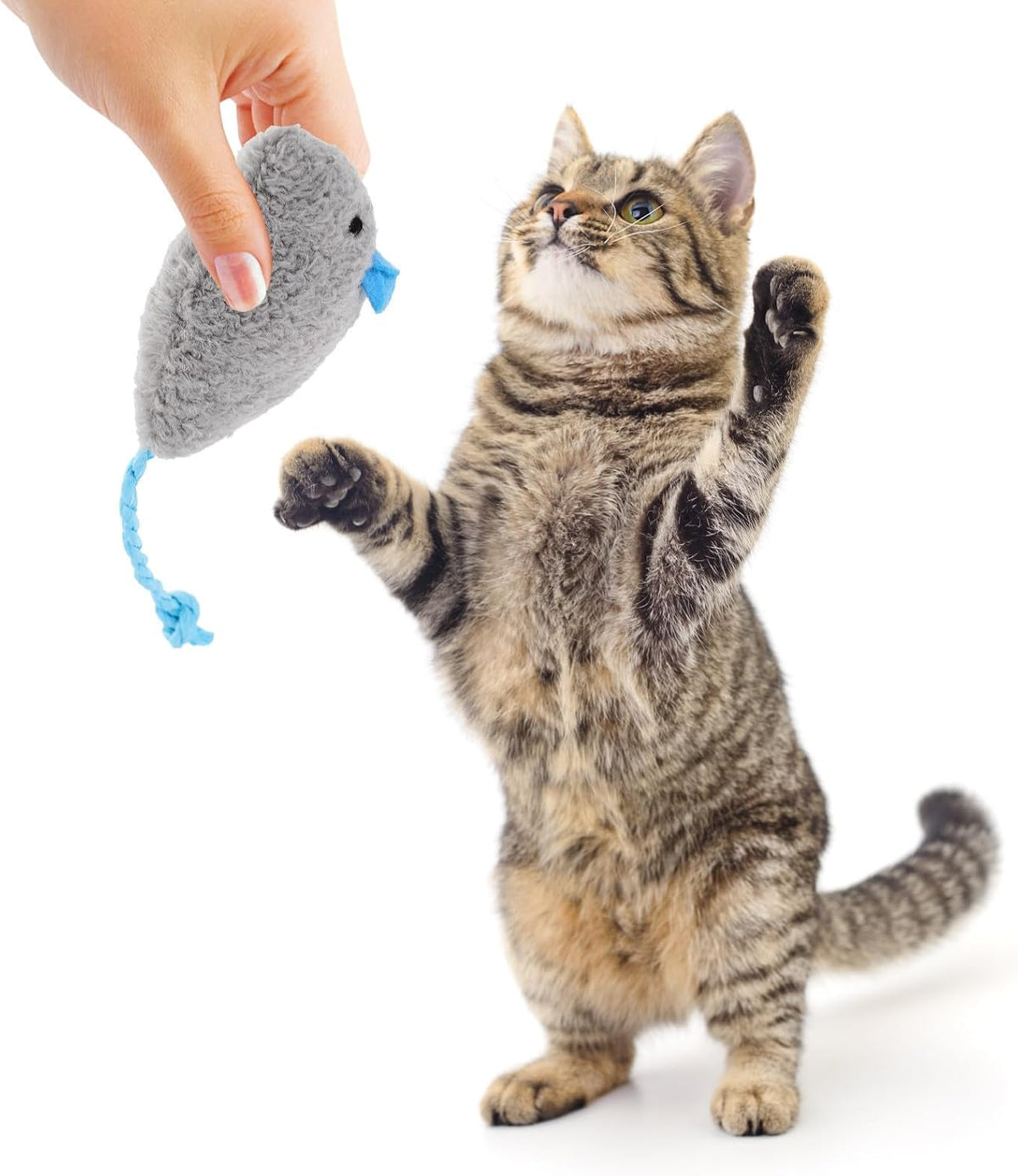 ARTIBETTER 5pcs Plush Mouse Cat for Kittens Indoor Interactive Play