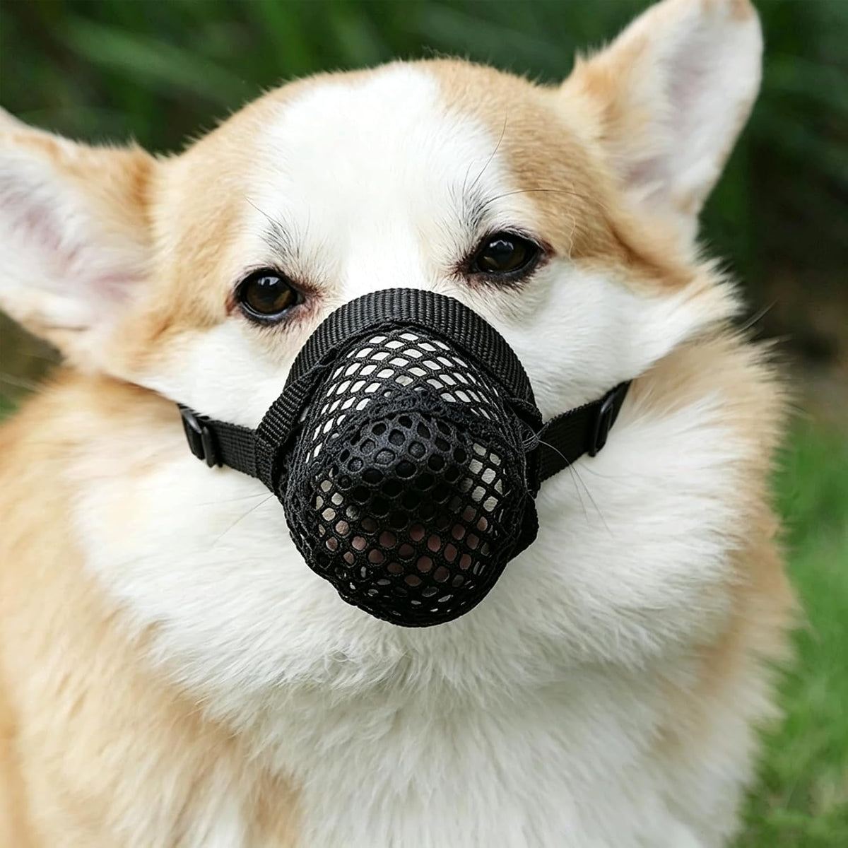 Mesh Dog Muzzle for Small Dogs, Nylon Soft Dog Mouth Cover