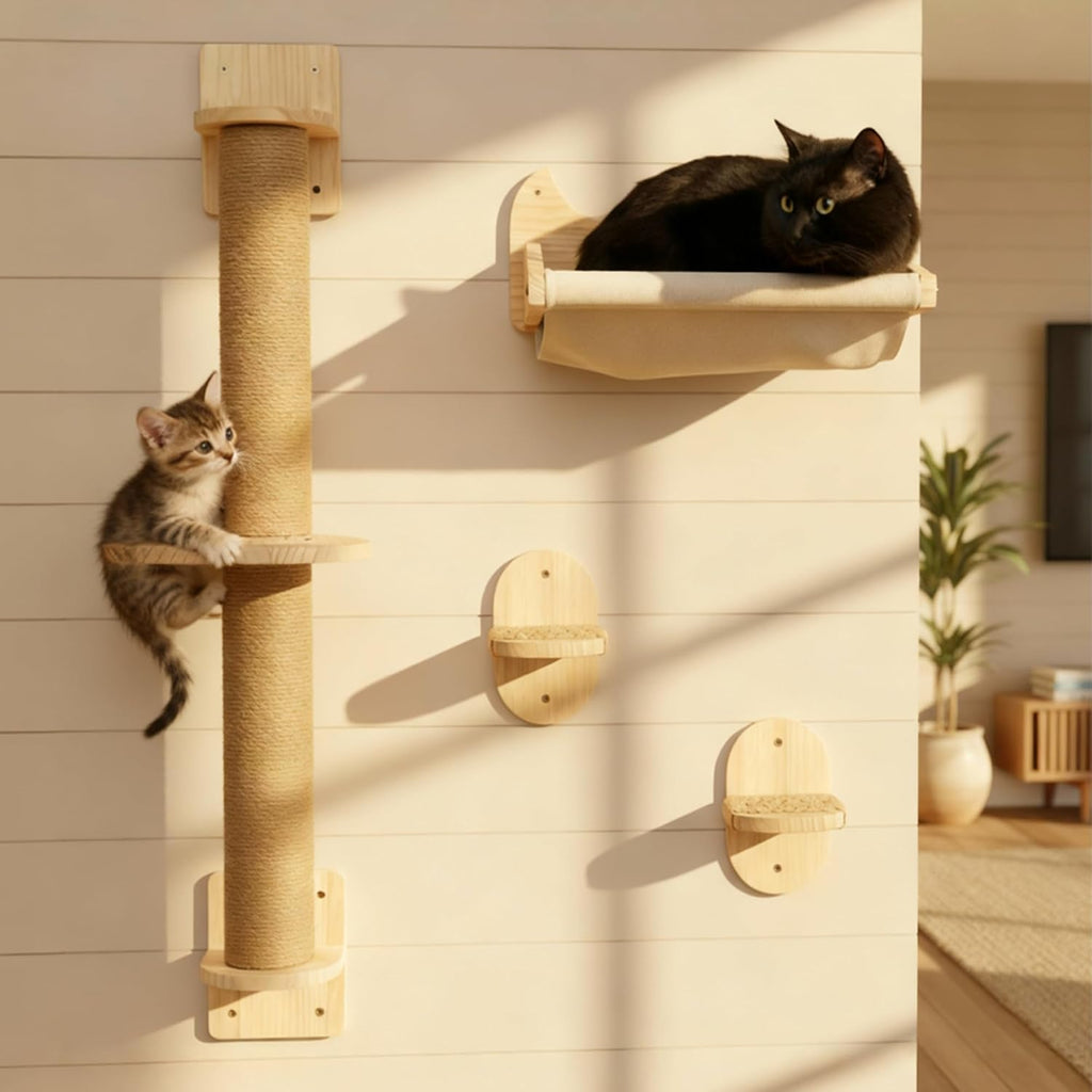 Cat Window Shelf | 4-in-1 Cat Wall Shelves & Scratcher