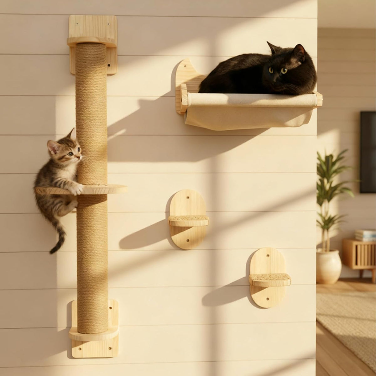 Cat Window Shelf | 4-in-1 Cat Wall Shelves & Scratcher