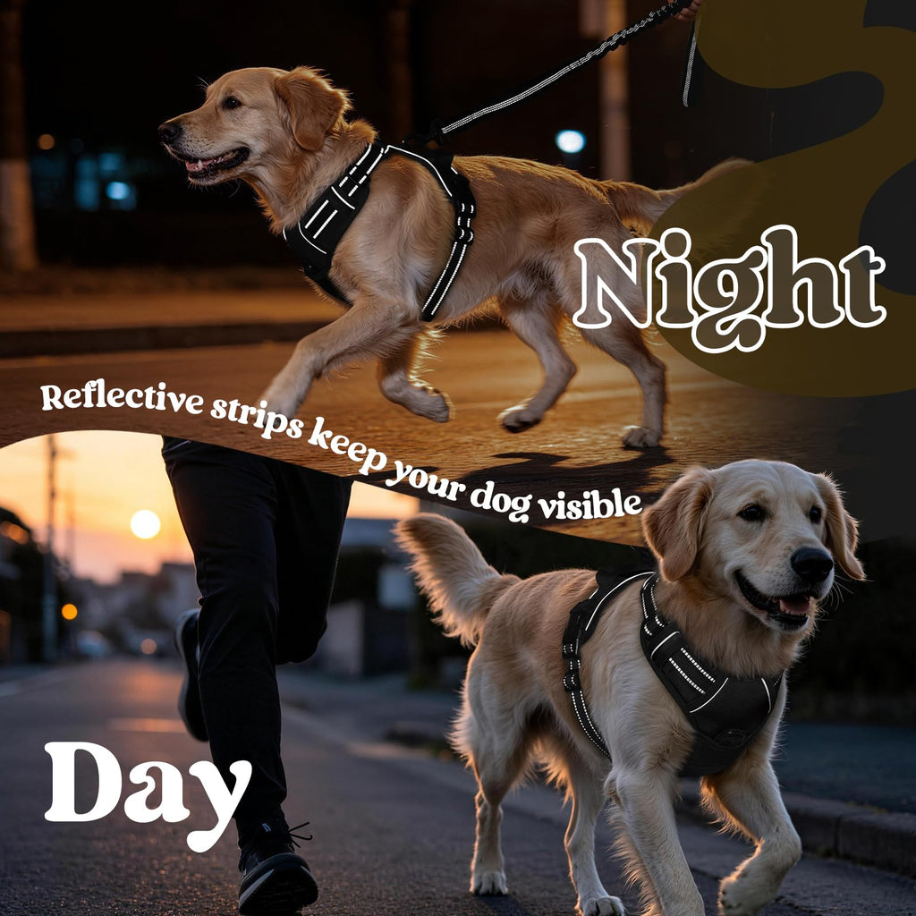 rabbitgoo Dog Harness, No Pull for Large Dogs with 2 Leash Clips, Pet Vest