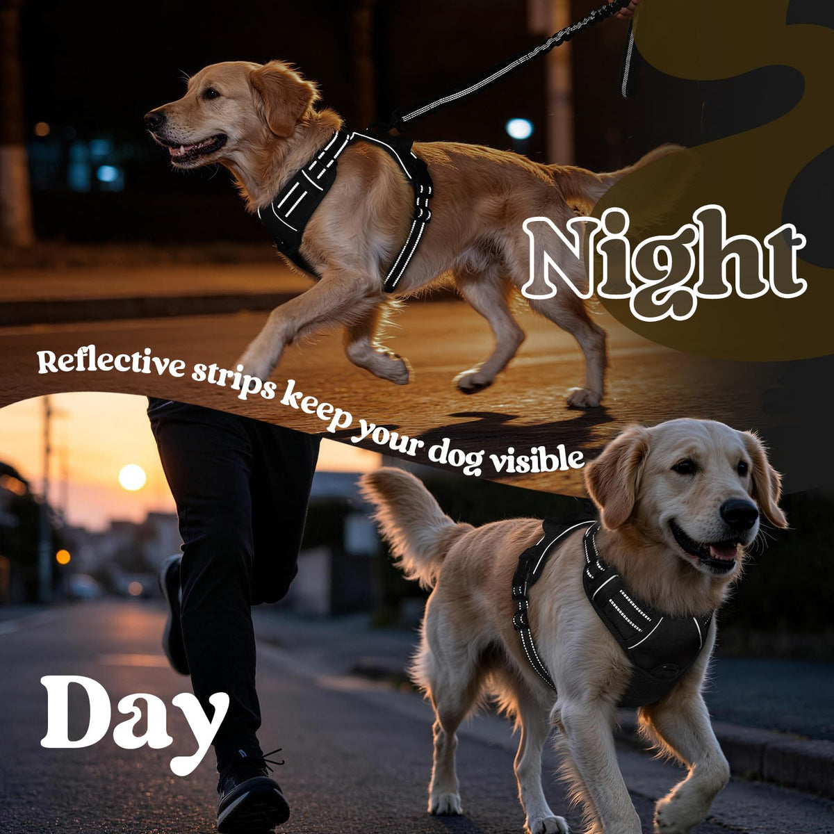 rabbitgoo Dog Harness, No Pull for Large Dogs with 2 Leash Clips, Pet Vest
