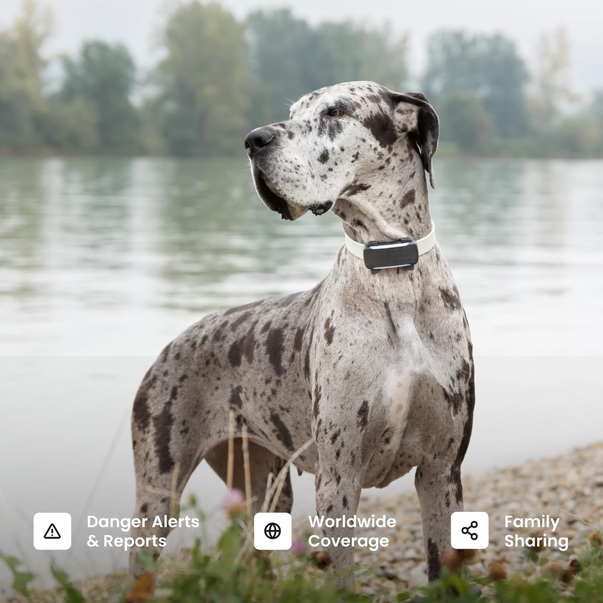 Tractive XL Smart Dog GPS Tracker | Live Pet Tracker with Virtual Fence | Vital Signs Monitoring of Heart & Respiratory 