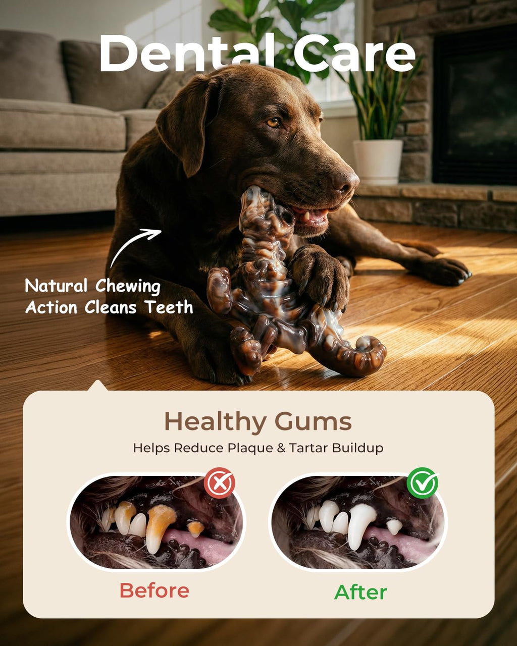 DinoBone 2-Pack Tough Dog Chew Toys for Aggressive Chewers, Rock-Hard Nylon