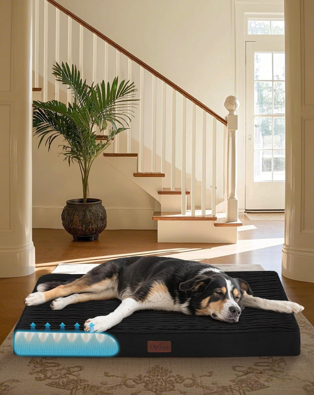 OhGeni Orthopedic Waterproof & Machine Washable Dog Bed for Medium Large Pets, Suitable for Crates, 25D Egg Crate Foam, 
