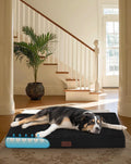 OhGeni Orthopedic Waterproof & Machine Washable Dog Bed for Medium Large Pets, Suitable for Crates, 25D Egg Crate Foam, 