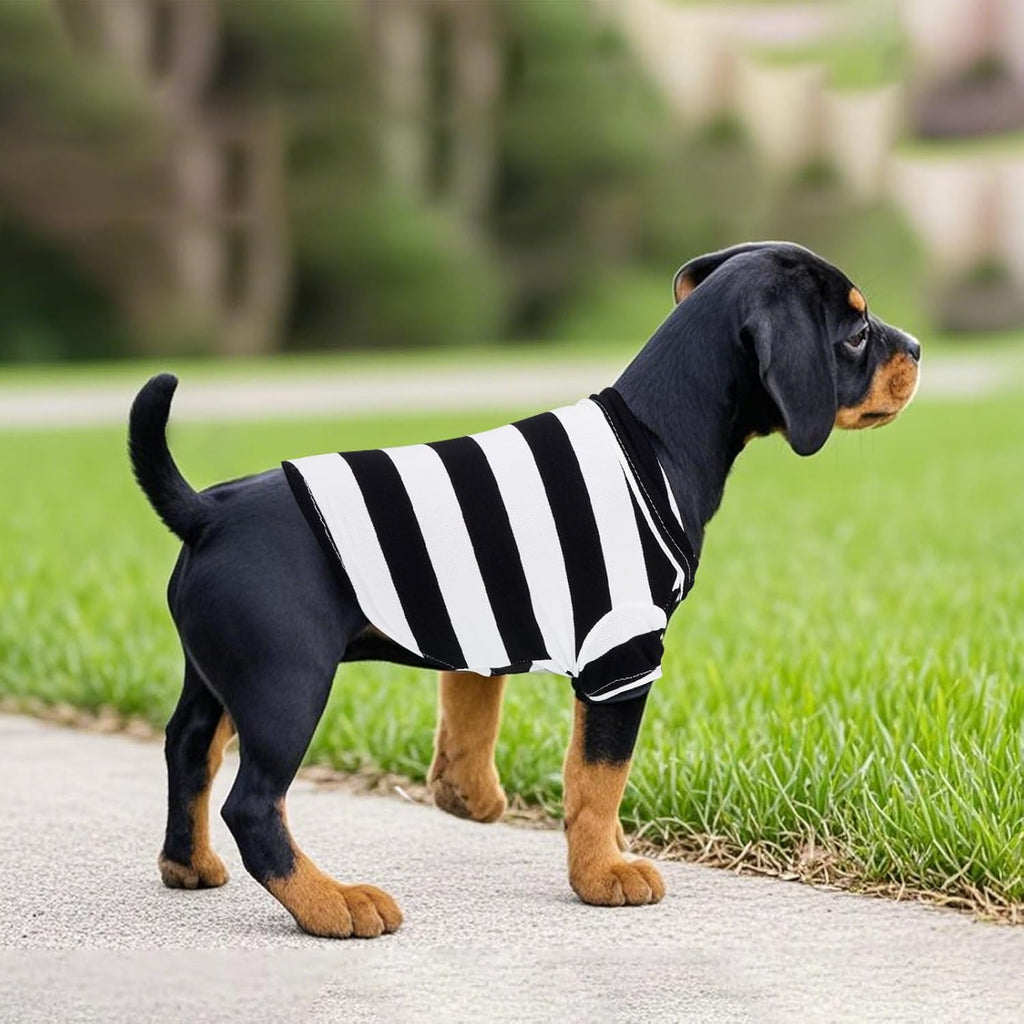 Pistha Dog Shirt Polo Shirt Striped Puppy Clothes for Boy Girl Pets